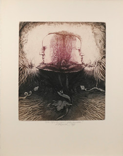 Bohunka Waageová (1948-) - Tajuplný ostrov, cyklus “Rezervace”