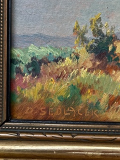 František Daněk-Sedláček (1892 - 1974) - Senoseč