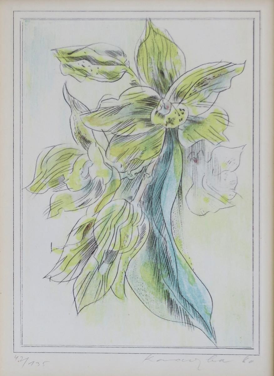 Dimitrij Kadrnožka 1923 - Orchidej