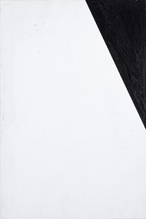 Untitled - diptych