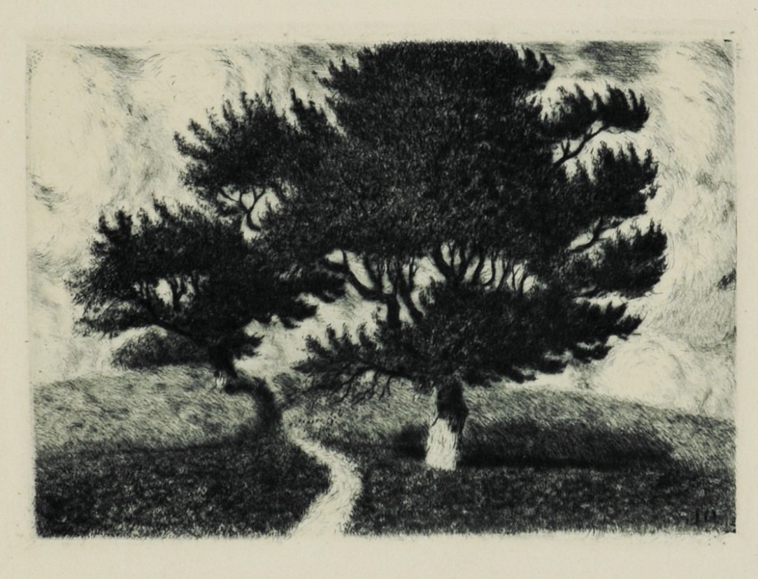 STRETTI-ZAMPONI Jaromír (1882-1952) - Borovice.