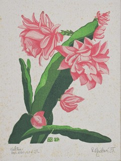 MACKOVÁ Anna (1887-1969) - Kaktus.