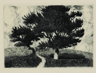 STRETTI-ZAMPONI Jaromír (1882-1952) - Borovice.