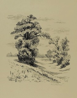 FOŘTOVÁ-Šámalová Pavla (1886-1974) - Dva grafické listy.
