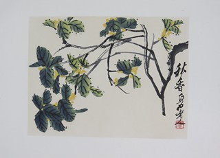 Qi Baishi ( 齊白石 ) (1864 - 1927) - Album maleb starého mistra Bai Shi – 白石老人画册 Peking, Rong Bao Zhai 荣宝斋, říjen 1953 Číslo edice: No. 5104