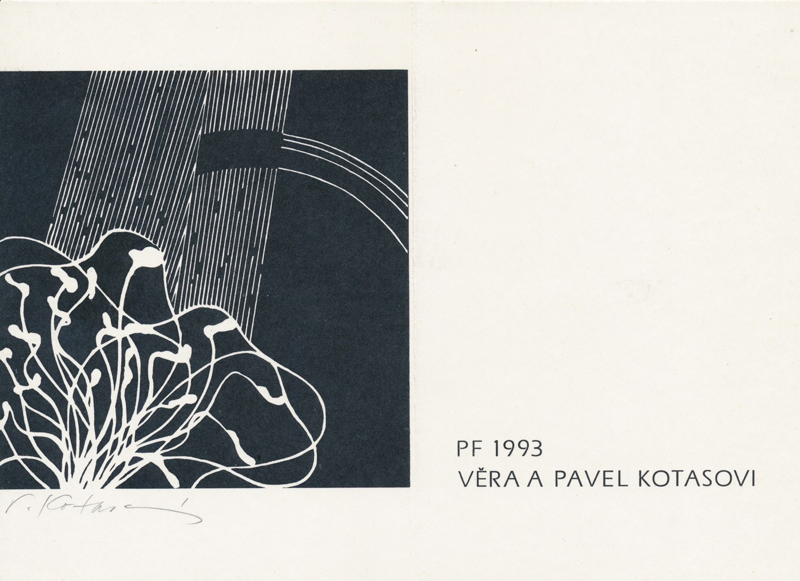 Věra Kotasová (1939 – 2019) - Květina