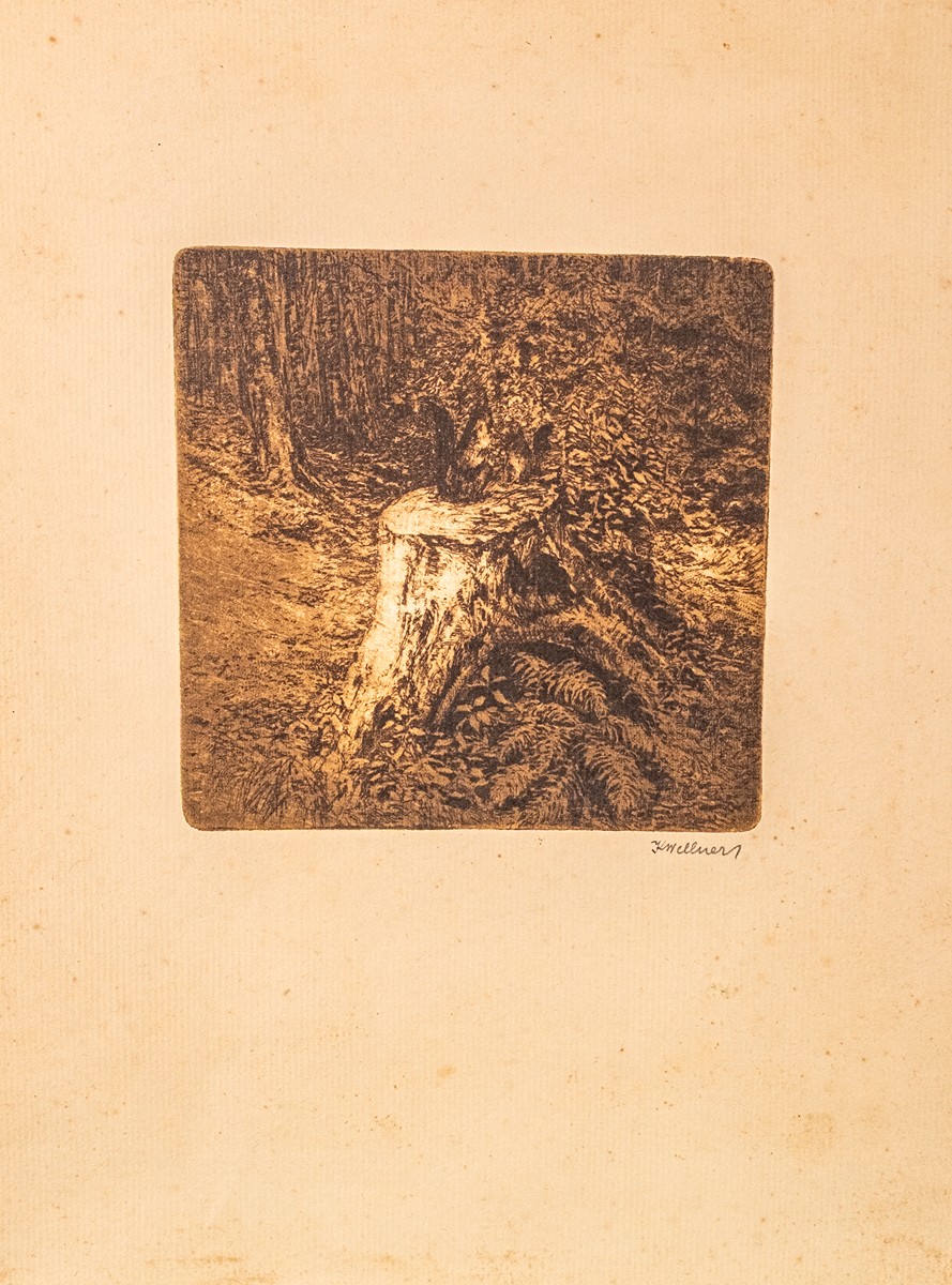 Karel Wellner (1875 – 1926) - Veverka