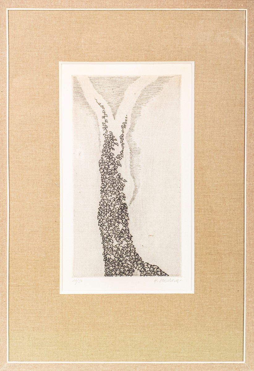 Hana Storchová (1936 – 2024) - Břečťan