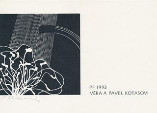 Věra Kotasová (1939 – 2019) - Květina