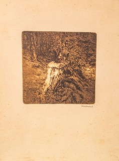 Karel Wellner (1875 – 1926) - Veverka