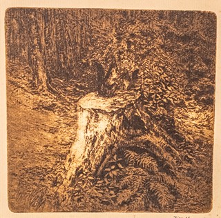 Karel Wellner (1875 – 1926) - Veverka