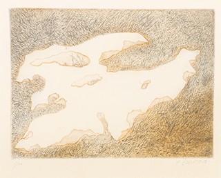 Hana Storchová (1936 – 2024) - Struktura v trávníku