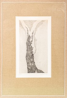 Hana Storchová (1936 – 2024) - Břečťan