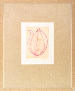 Hana Storchová (1936 – 2024) - Tulipán 2