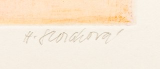 Hana Storchová (1936 – 2024) - Tulipán 2