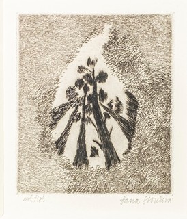 Hana Storchová (1936 – 2024) - Zrcadlení