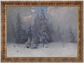 Cína Jelínek  - Zasněžený les