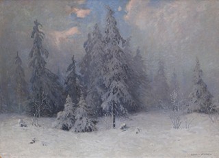Cína Jelínek - Zasněžený les