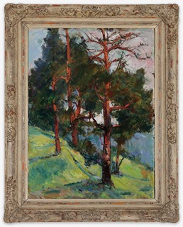 Alois Lukášek - Borovice ve slunci