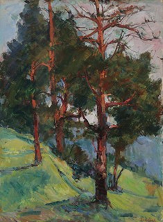 Alois Lukášek - Borovice ve slunci