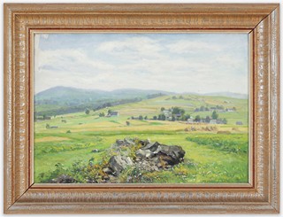 Cína Jelínek - Malebná Vysočina