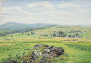 Cína Jelínek - Malebná Vysočina