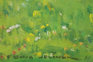 Cína Jelínek - Malebná Vysočina
