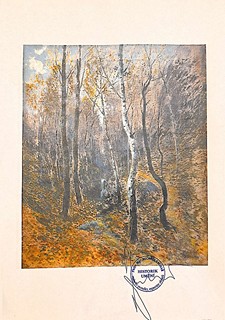 Josef Ullmann - Březový háj