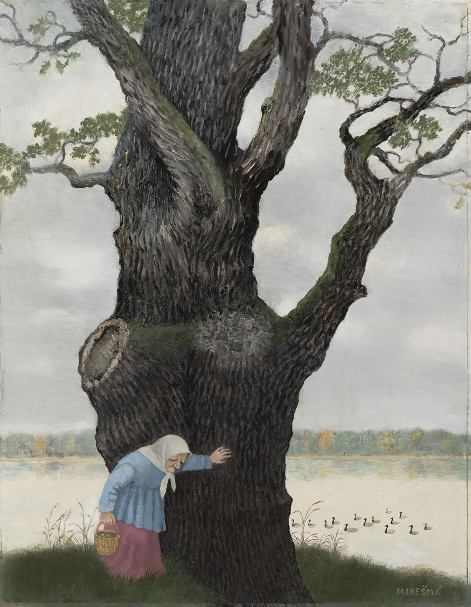 NEAR AN OLD OAK