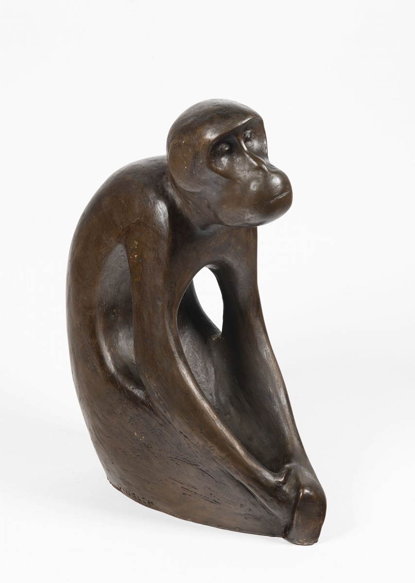 A MONKEY