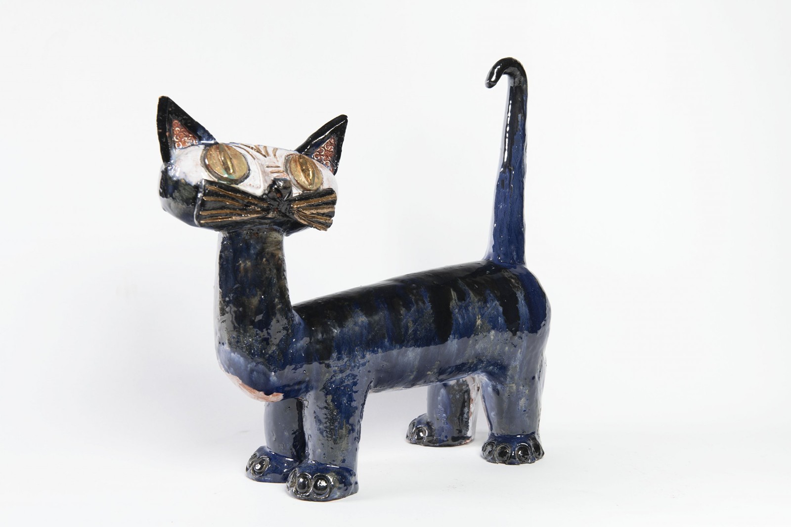 A CAT
