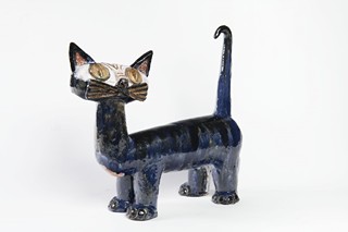 A CAT