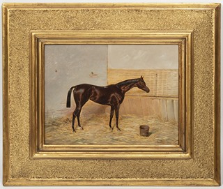 HORSE IN A STABLE