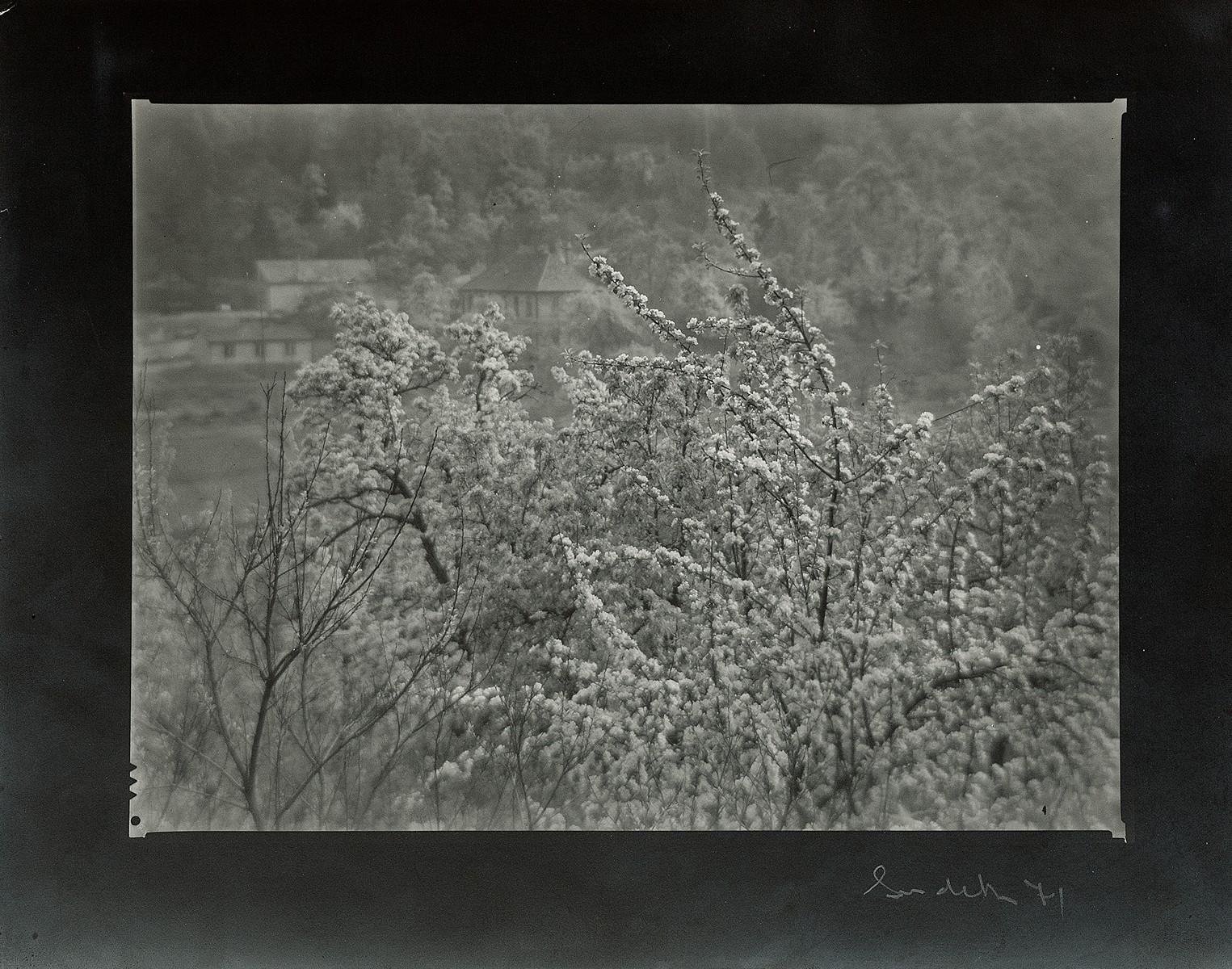 Josef Sudek (1896 - 1976) - Jaro v Praze