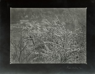 Josef Sudek (1896 - 1976) - Jaro v Praze