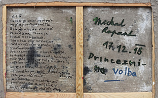 Michal Rapant (1986-) - Princeznina volba