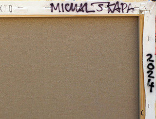 Michal Škapa (1978-) - In Between Space