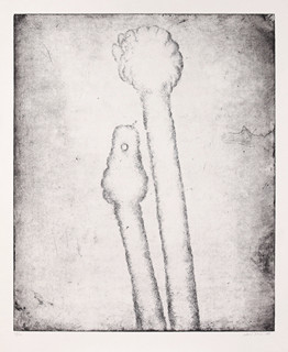 Item 326