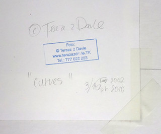 Tereza z Davle (1975-) - Křivky