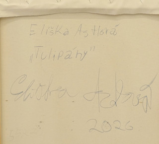 Eliška Astlová (2000-) - Tulipány
