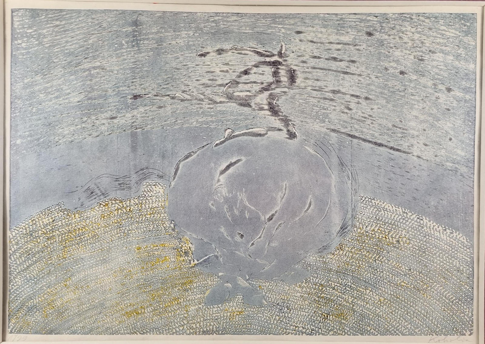 Vladimír Kokolia (1956) - Figura na ledu