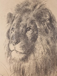 Josef Loukota (1879 - 1967) - Král