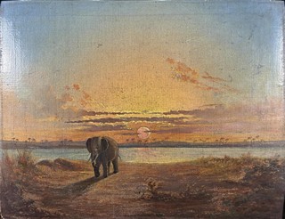 Schránil Václav - Vzpomínky na Afriku