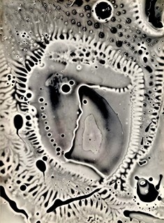 Miloš Koreček (1906 - 1989) - Fotografie ,,Moje 200,, 1974