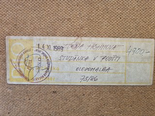 Zdena Höhmová (1955) - Studánka v poušti