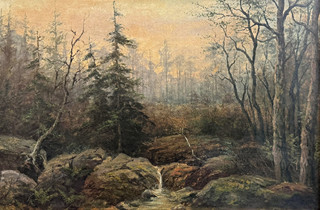 Les Navečer