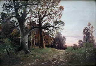 Adolf Kaufmann - Lesní cesta při západu slunce