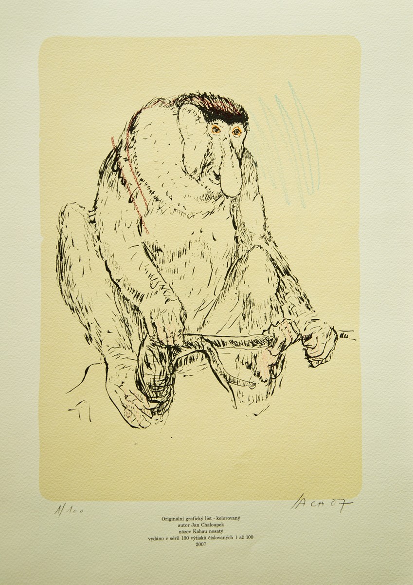 Jan Chaloupek (1958) - Kahau nosatý II