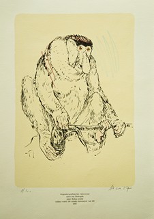 Jan Chaloupek (1958) -  Kahau nosatý II