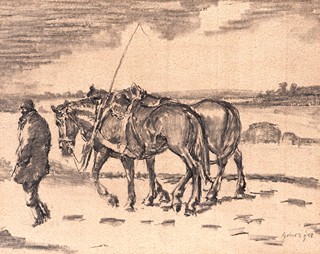 Jaroslav Bednář (1896 - ?) - Koňské spřežení